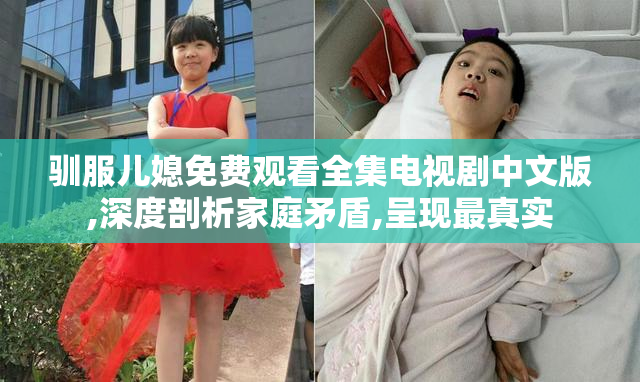 驯服儿媳免费观看全集电视剧中文版,深度剖析家庭矛盾,呈现最真实