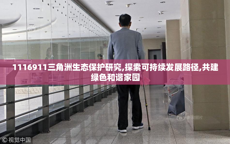 1116911三角洲生态保护研究,探索可持续发展路径,共建绿色和谐家园