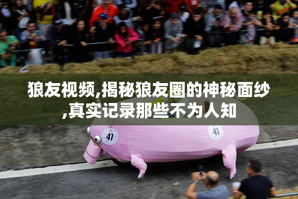 狼友视频,揭秘狼友圈的神秘面纱,真实记录那些不为人知