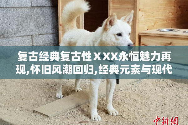 复古经典复古性ⅩXX永恒魅力再现,怀旧风潮回归,经典元素与现代