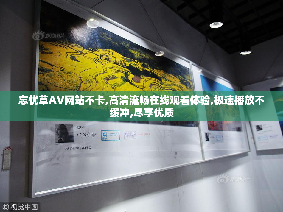 忘忧草AV网站不卡,高清流畅在线观看体验,极速播放不缓冲,尽享优质