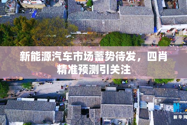 新能源汽车市场蓄势待发，四肖精准预测引关注