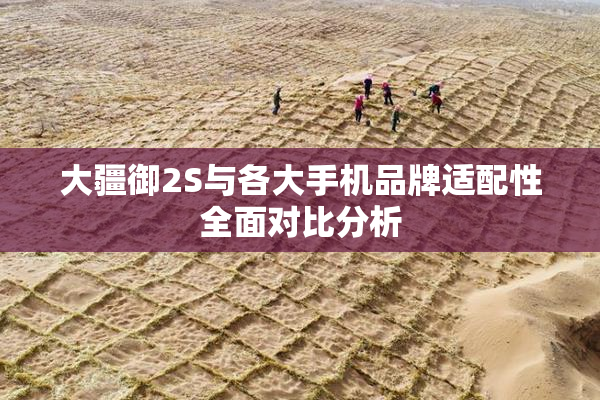 大疆御2S与各大手机品牌适配性全面对比分析