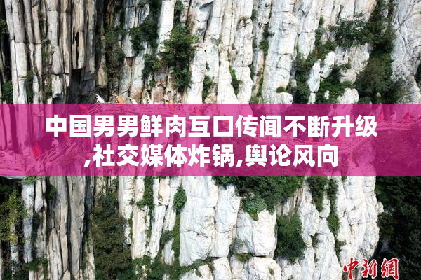 中国男男鲜肉互口传闻不断升级,社交媒体炸锅,舆论风向