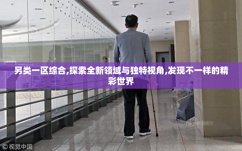 另类一区综合,探索全新领域与独特视角,发现不一样的精彩世界