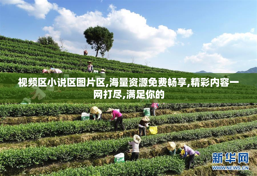 视频区小说区图片区,海量资源免费畅享,精彩内容一网打尽,满足你的