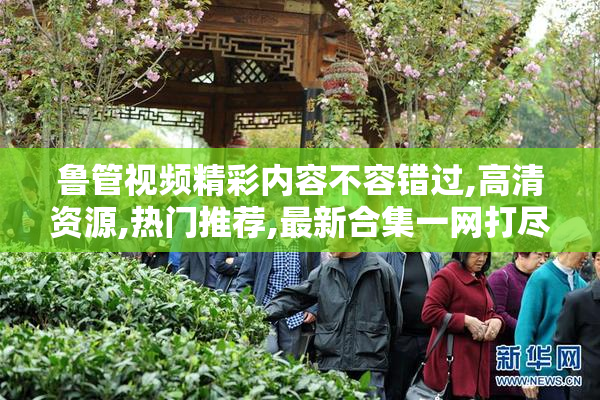 鲁管视频精彩内容不容错过,高清资源,热门推荐,最新合集一网打尽