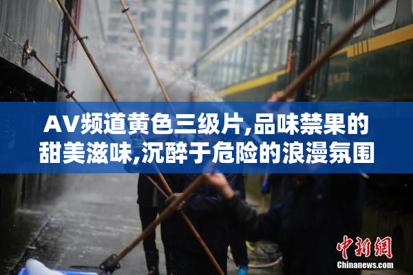AV频道黄色三级片,品味禁果的甜美滋味,沉醉于危险的浪漫氛围,体验
