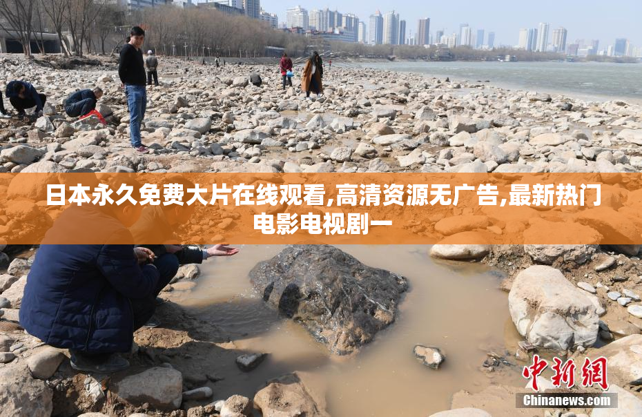 日本永久免费大片在线观看,高清资源无广告,最新热门电影电视剧一
