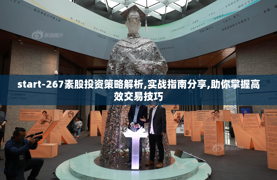 start-267素股投资策略解析,实战指南分享,助你掌握高效交易技巧