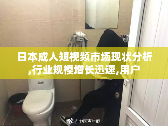 日本成人短视频市场现状分析,行业规模增长迅速,用户