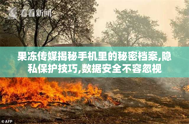 果冻传媒揭秘手机里的秘密档案,隐私保护技巧,数据安全不容忽视