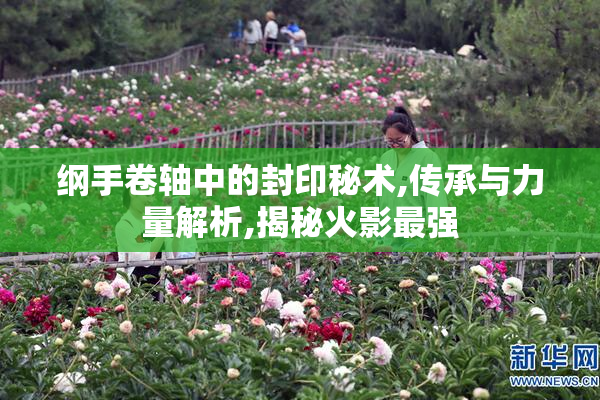 纲手卷轴中的封印秘术,传承与力量解析,揭秘火影最强