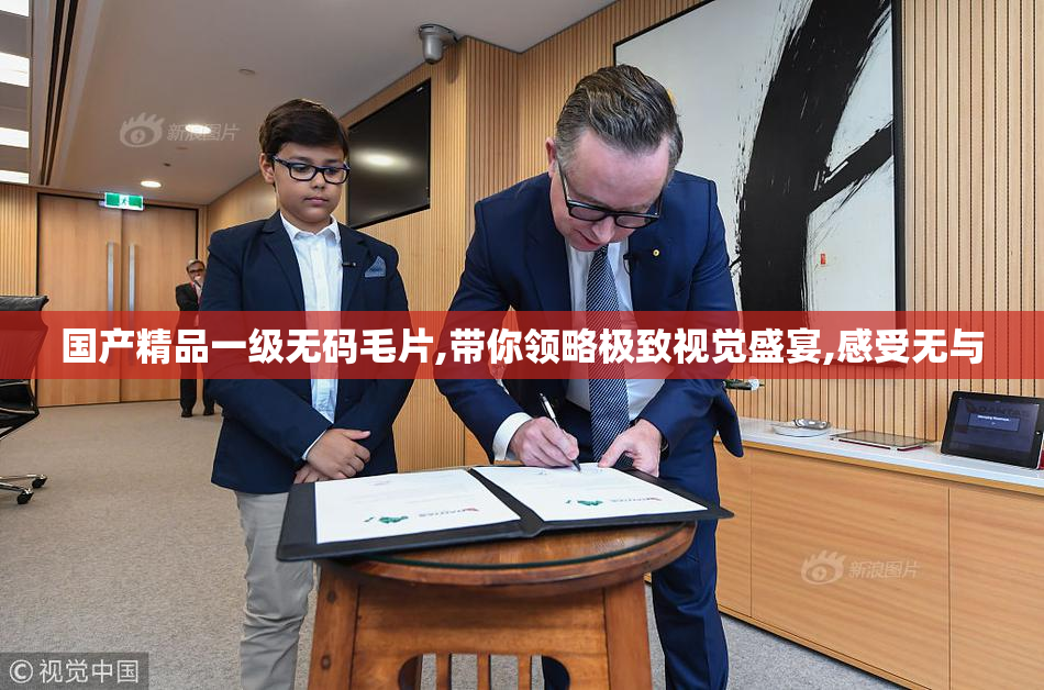 国产精品一级无码毛片,带你领略极致视觉盛宴,感受无与