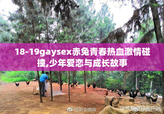 18-19gaysex赤兔青春热血激情碰撞,少年爱恋与成长故事