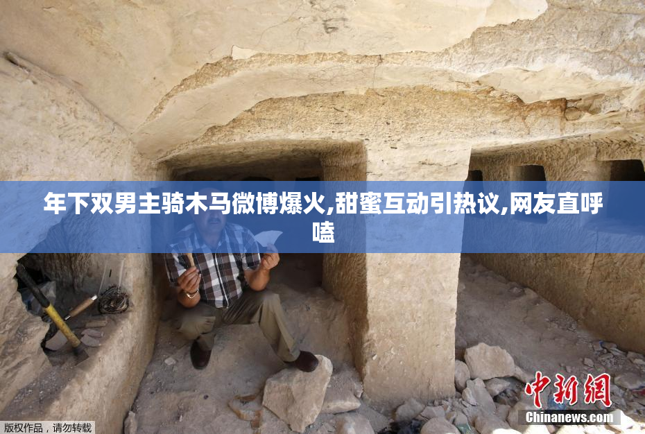 年下双男主骑木马微博爆火,甜蜜互动引热议,网友直呼嗑
