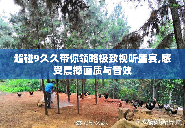 超碰9久久带你领略极致视听盛宴,感受震撼画质与音效
