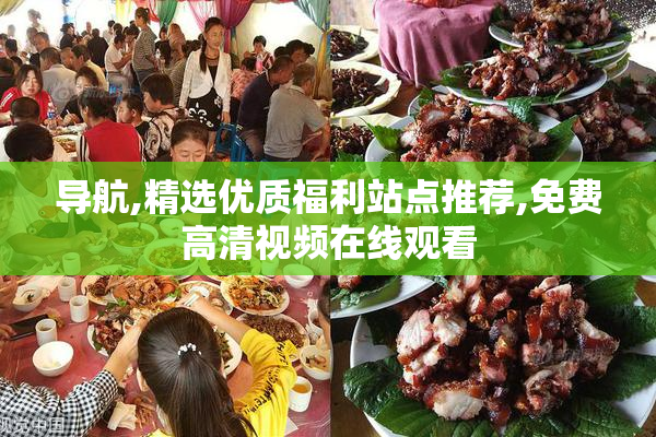 导航,精选优质福利站点推荐,免费高清视频在线观看