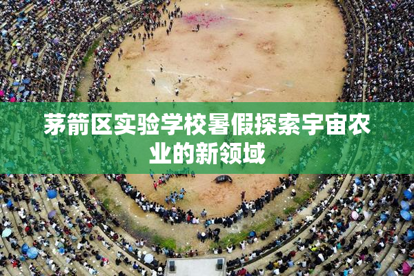 茅箭区实验学校暑假探索宇宙农业的新领域