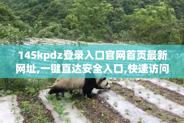 145kpdz登录入口官网首页最新网址,一键直达安全入口,快速访问稳定