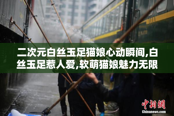 二次元白丝玉足猫娘心动瞬间,白丝玉足惹人爱,软萌猫娘魅力无限