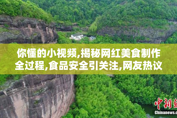 你懂的小视频,揭秘网红美食制作全过程,食品安全引关注,网友热议不