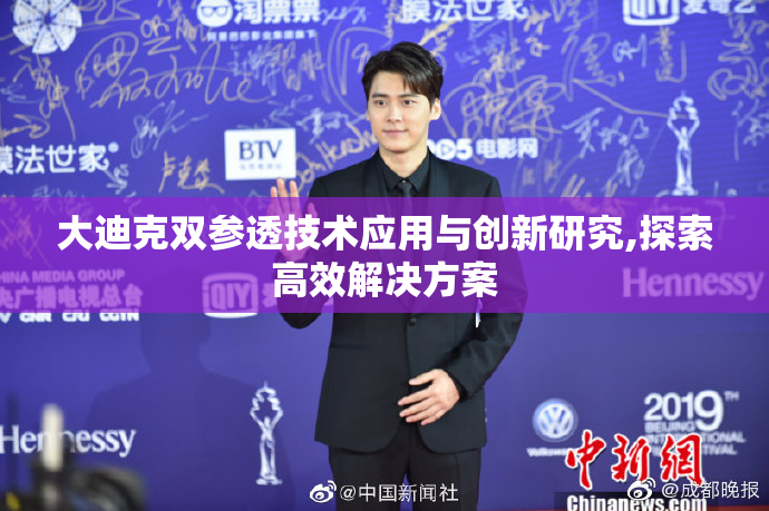 大迪克双参透技术应用与创新研究,探索高效解决方案