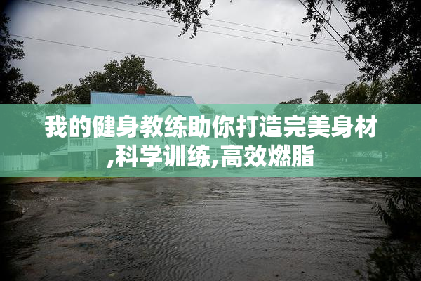 我的健身教练助你打造完美身材,科学训练,高效燃脂