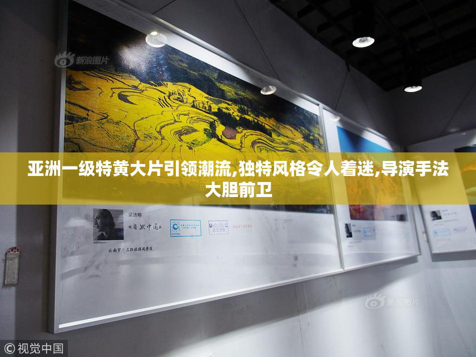 亚洲一级特黄大片引领潮流,独特风格令人着迷,导演手法大胆前卫