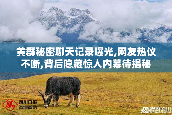 黄群秘密聊天记录曝光,网友热议不断,背后隐藏惊人内幕待揭秘
