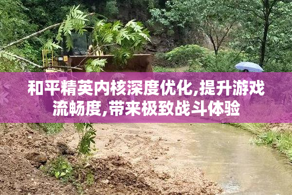 和平精英内核深度优化,提升游戏流畅度,带来极致战斗体验