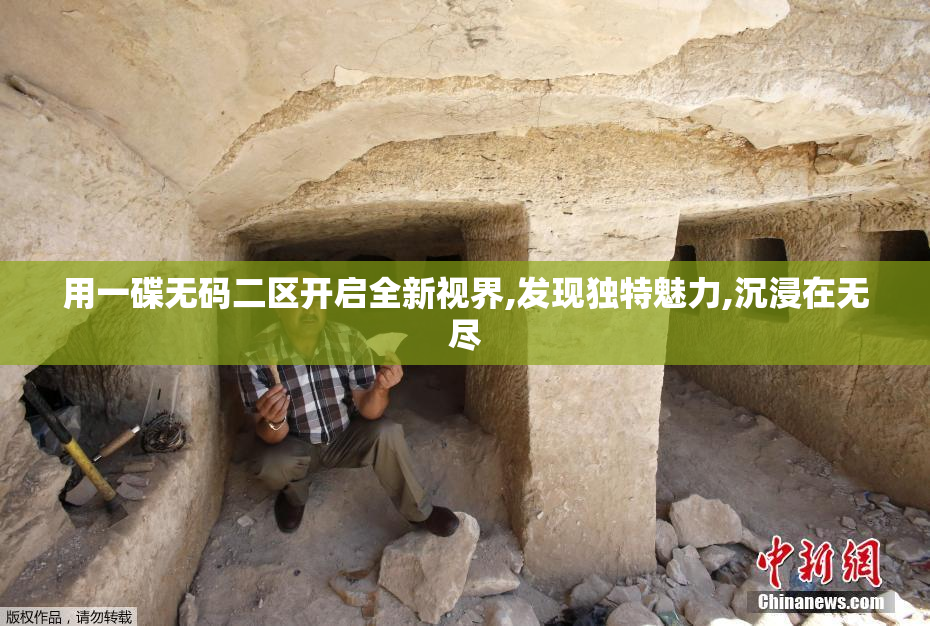 用一碟无码二区开启全新视界,发现独特魅力,沉浸在无尽