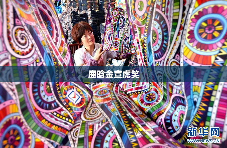 鹿晗金宣虎笑