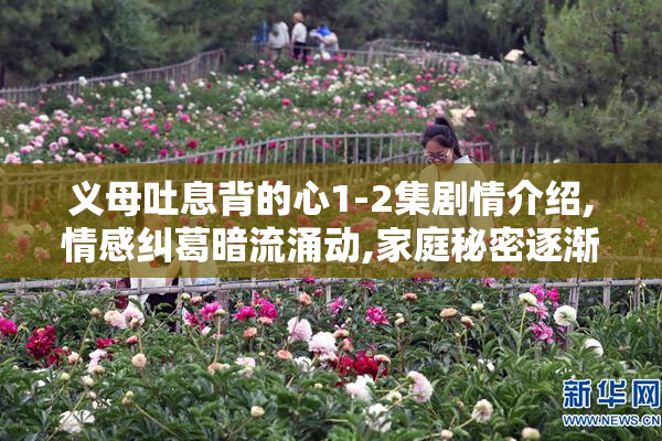 义母吐息背的心1-2集剧情介绍,情感纠葛暗流涌动,家庭秘密逐渐浮出