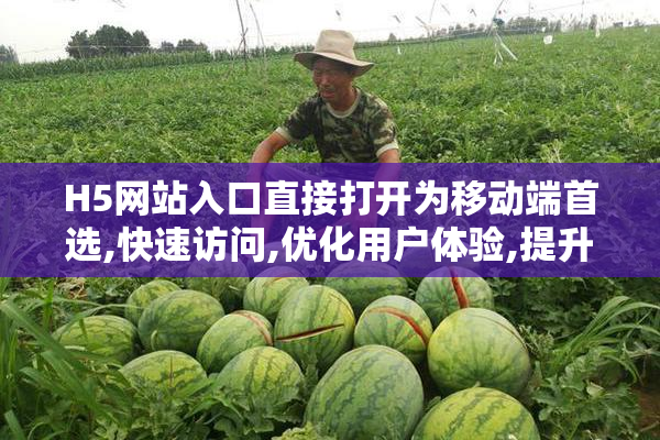 H5网站入口直接打开为移动端首选,快速访问,优化用户体验,提升网站