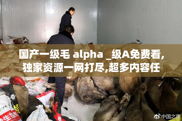 国产一级毛 alpha _级A免费看,独家资源一网打尽,超多内容任