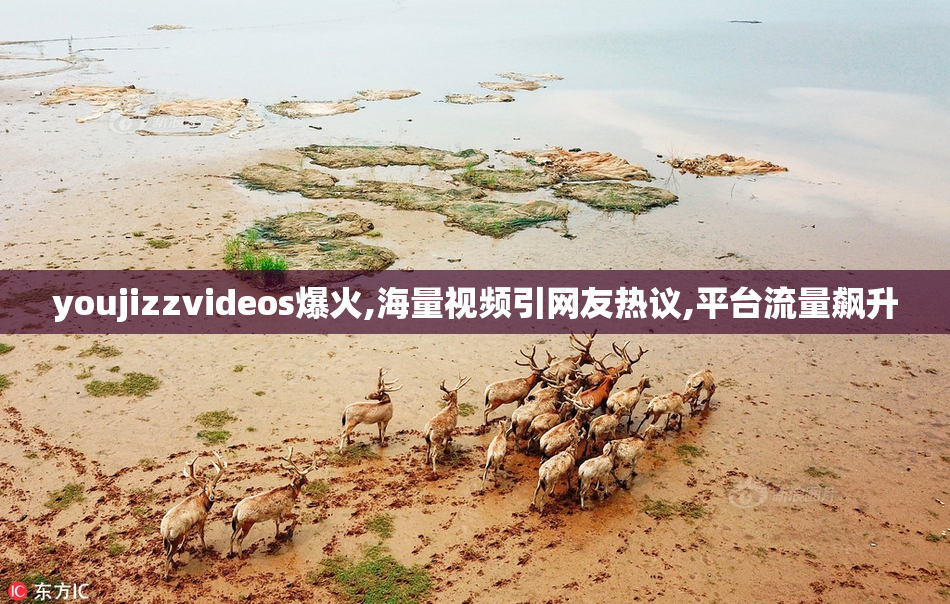 youjizzvideos爆火,海量视频引网友热议,平台流量飙升