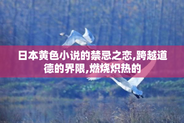 日本黄色小说的禁忌之恋,跨越道德的界限,燃烧炽热的