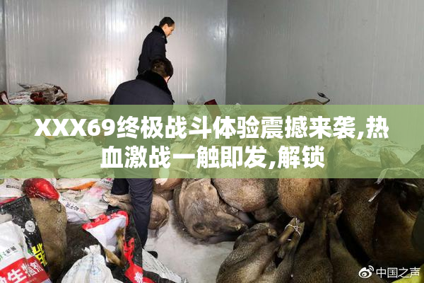 XXX69终极战斗体验震撼来袭,热血激战一触即发,解锁
