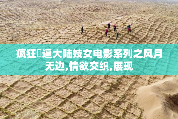 疯狂肏逼大陆妓女电影系列之风月无边,情欲交织,展现