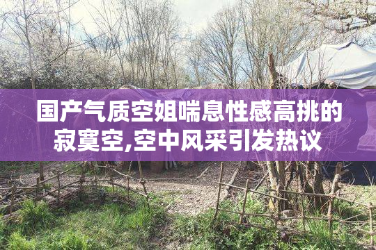 国产气质空姐喘息性感高挑的寂寞空,空中风采引发热议
