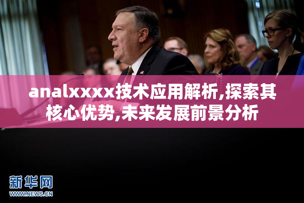 analxxxx技术应用解析,探索其核心优势,未来发展前景分析