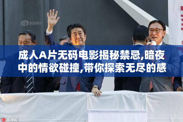 成人A片无码电影揭秘禁忌,暗夜中的情欲碰撞,带你探索无尽的感官