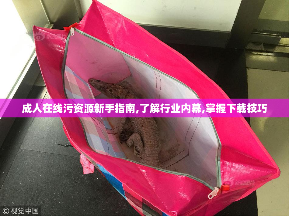 成人在线污资源新手指南,了解行业内幕,掌握下载技巧