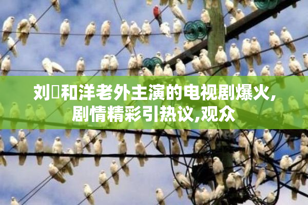 刘玥和洋老外主演的电视剧爆火,剧情精彩引热议,观众