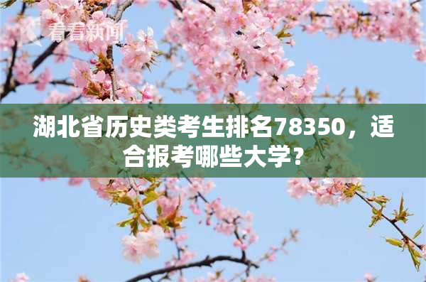湖北省历史类考生排名78350，适合报考哪些大学？