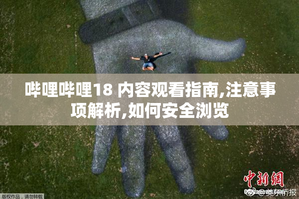 哔哩哔哩18 内容观看指南,注意事项解析,如何安全浏览