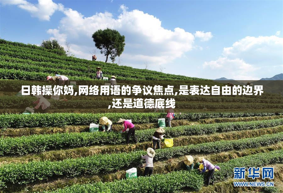 日韩操你妈,网络用语的争议焦点,是表达@的边界,还是道德底线