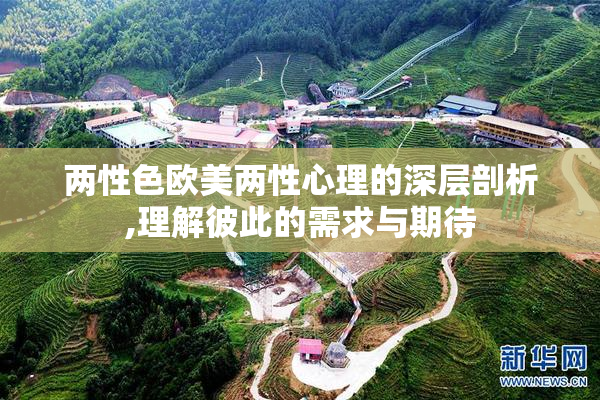 两性色欧美两性心理的深层剖析,理解彼此的需求与期待