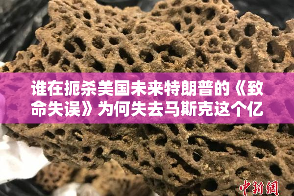 谁在扼杀美国未来特朗普的《致命失误》为何失去马斯克这个亿万富